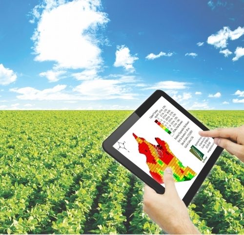 Agricultura de Precisão, Aprenda a Monitorar